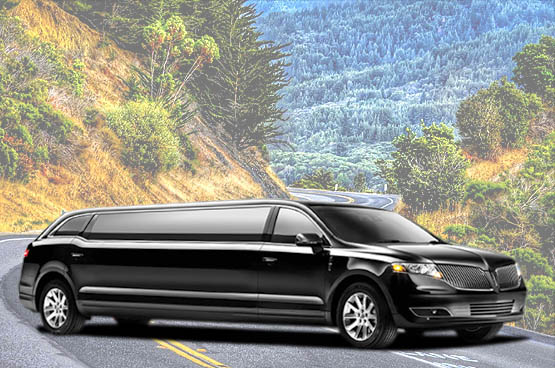 celina party buses